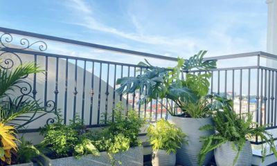 X&aacute;c định vị tr&iacute; đ&oacute;n nắng, tr&aacute;nh nhiệt